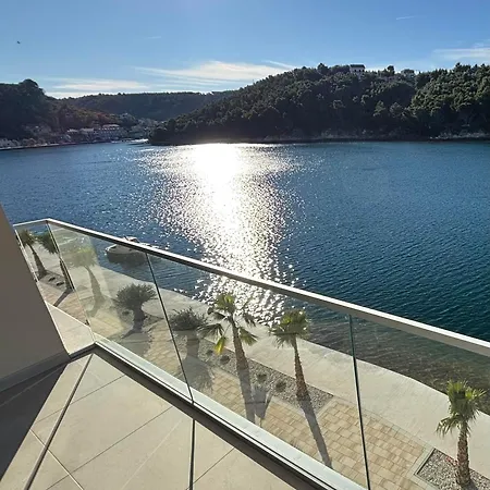 Life Novigrad Dalmatia * Novigrad (Dalmatia)